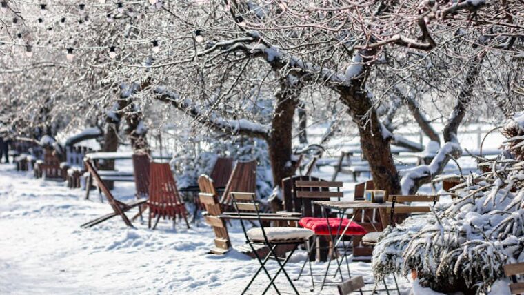 Charming outdoor cafe covered in snow with string lights and empty chairs.