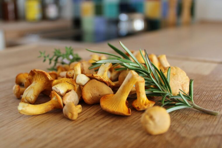 close up of chanterelles