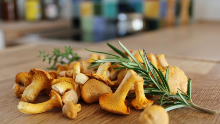close up of chanterelles